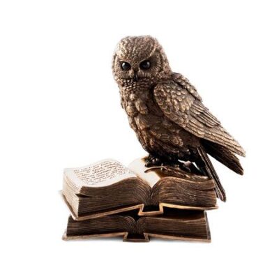 Бухал върху книги