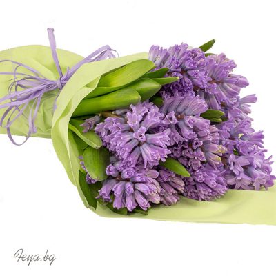 Hyacinths