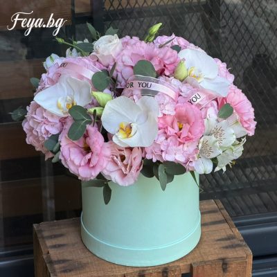 кутия с фаленопсис